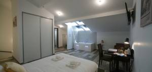 FRANCOIS BERNIER - FRANCOIS BERNIER